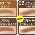 K-Palette Japan 1 Day Tattoo Lasting 3-Way Eyebrow Pencil Eyebrow Powder & Brush